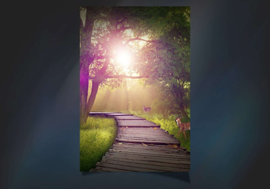 Studio Background psd file Free Download